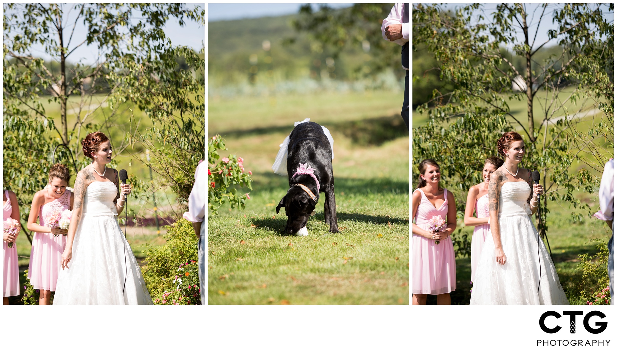 Sanaview_Farm_Wedding_Photos_0037