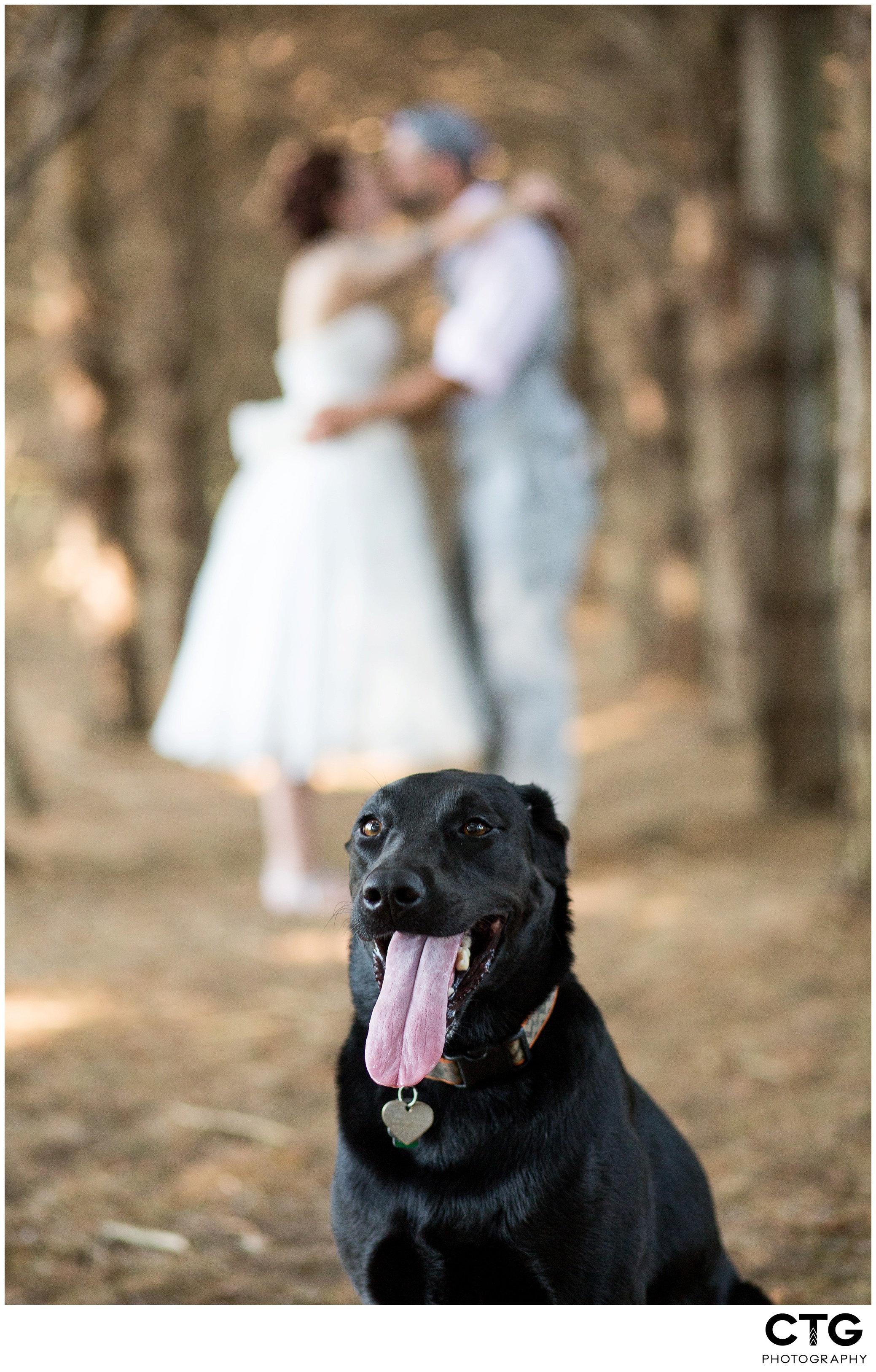 Sanaview_Farm_Wedding_Photos_0069