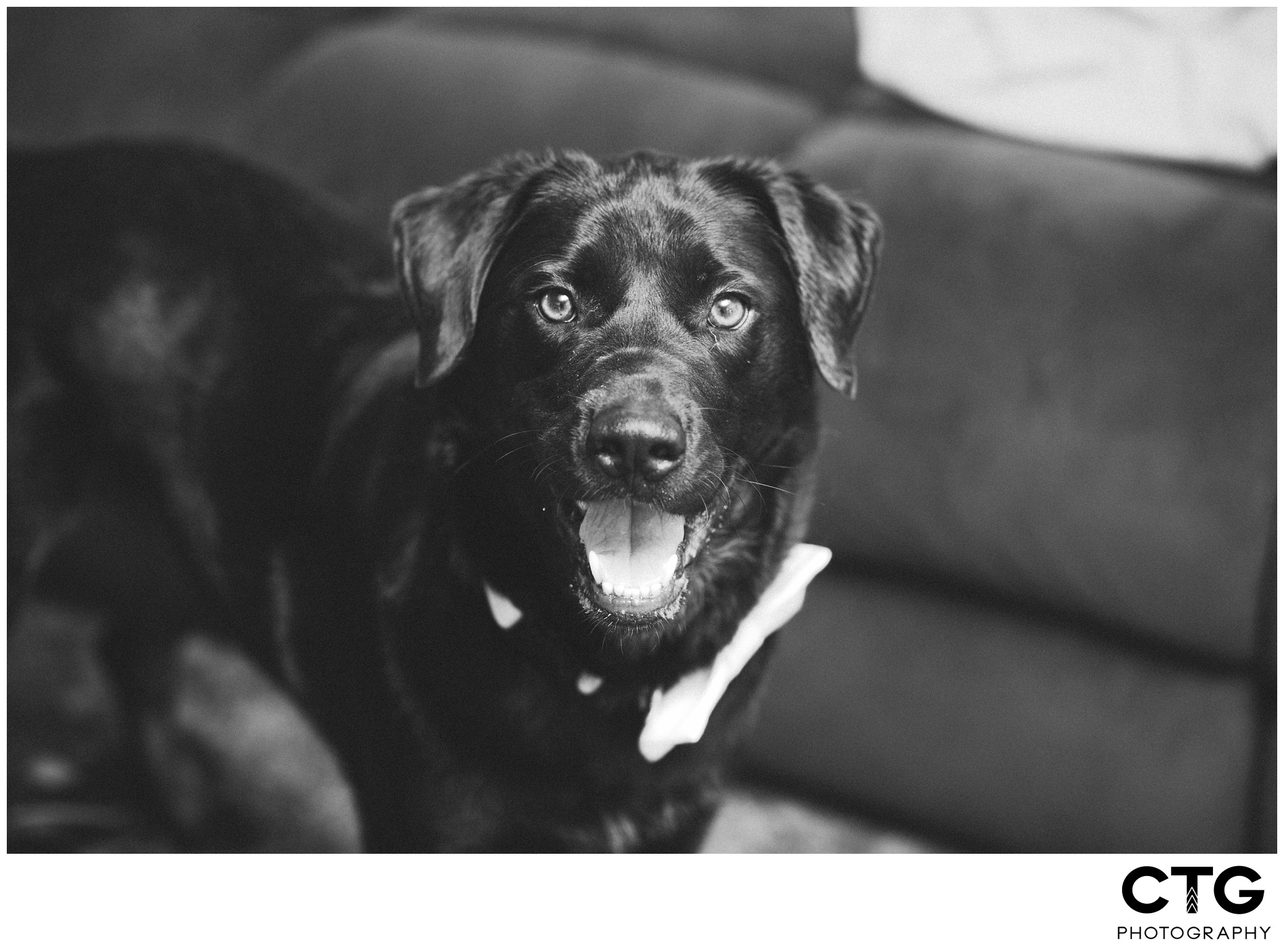 Sunset_Room_Wedding_Reception_Photos_0001