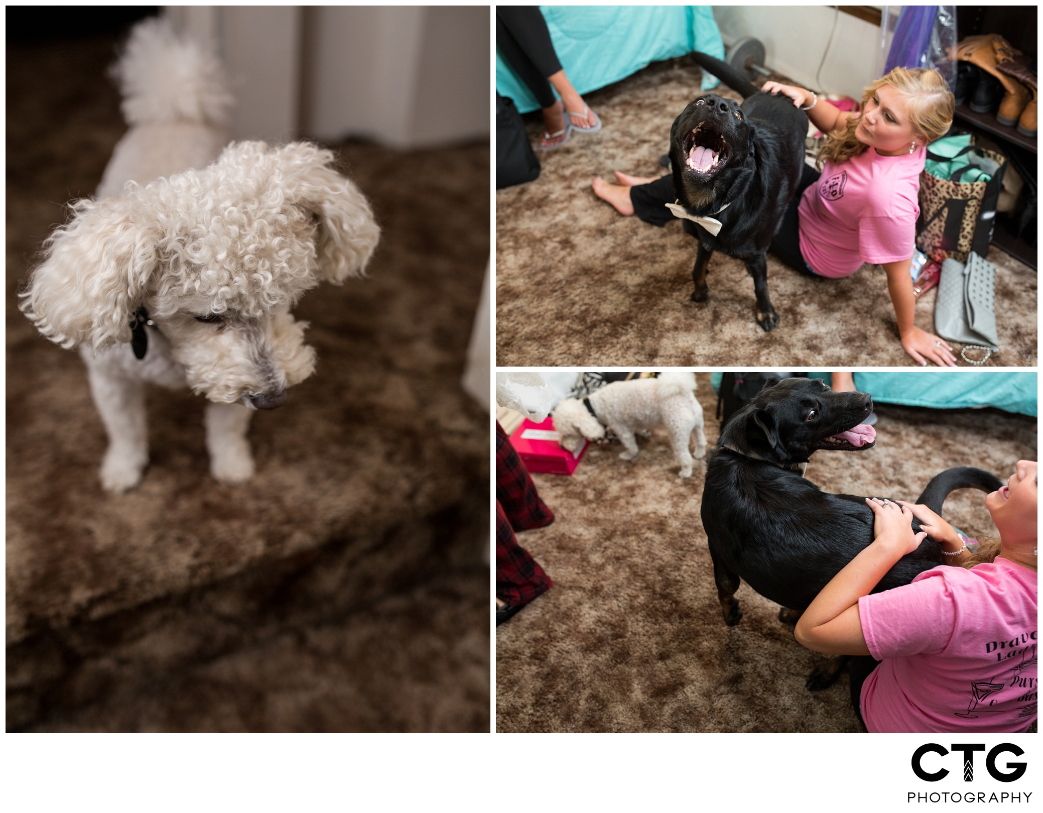 Sunset_Room_Wedding_Reception_Photos_0011