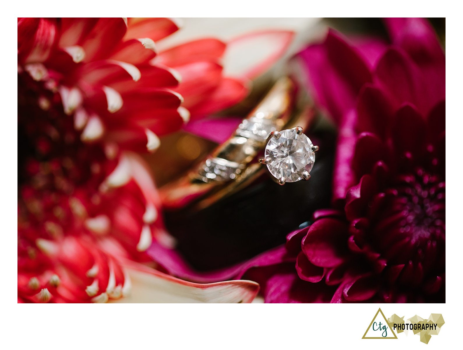 sandbridge-va-wedding-photos