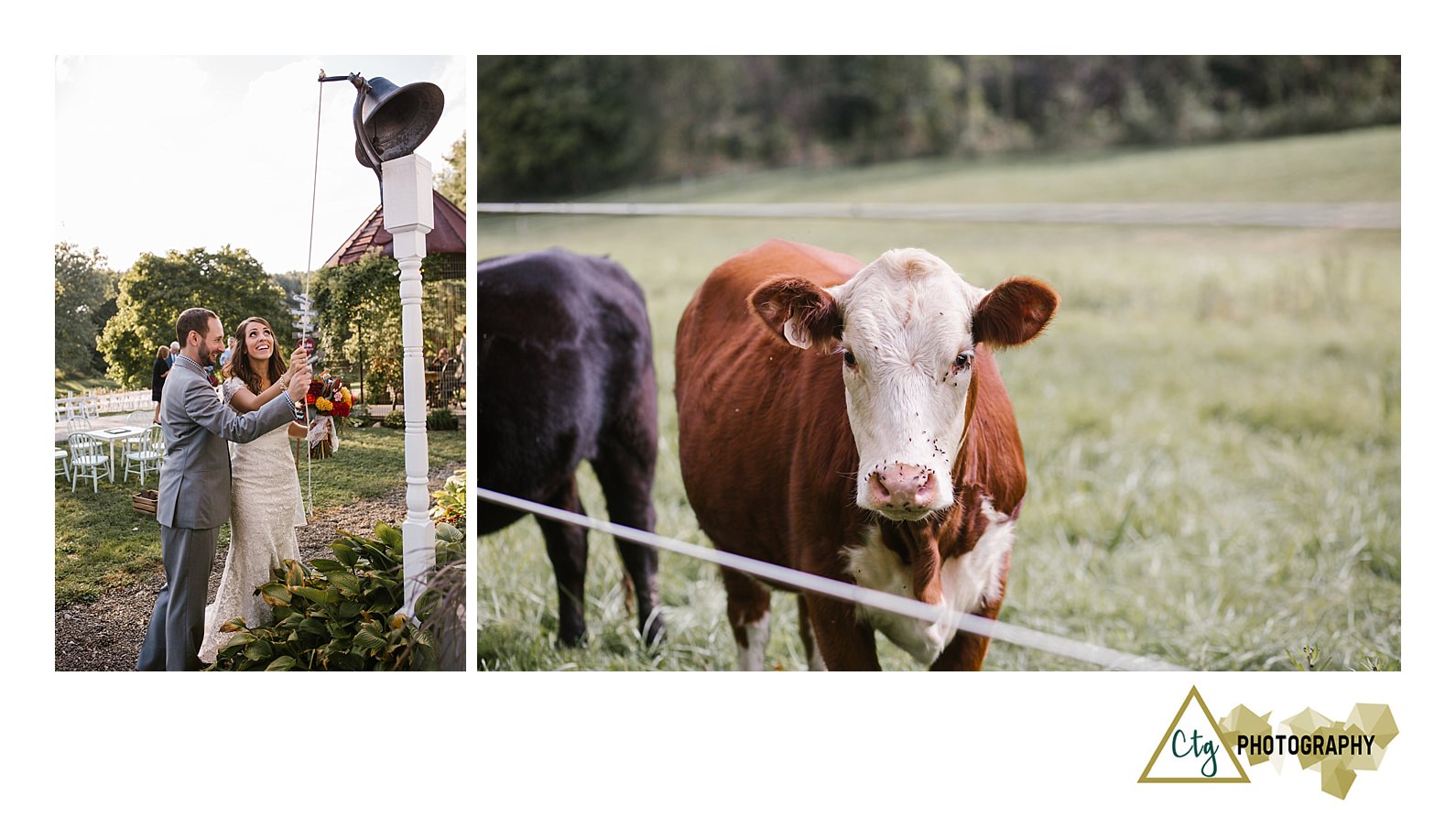 shady-elms-farm-wedding-photos