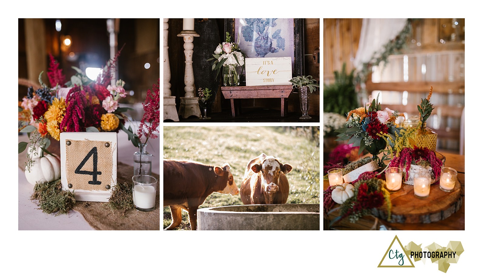 shady-elms-farm-wedding-photos