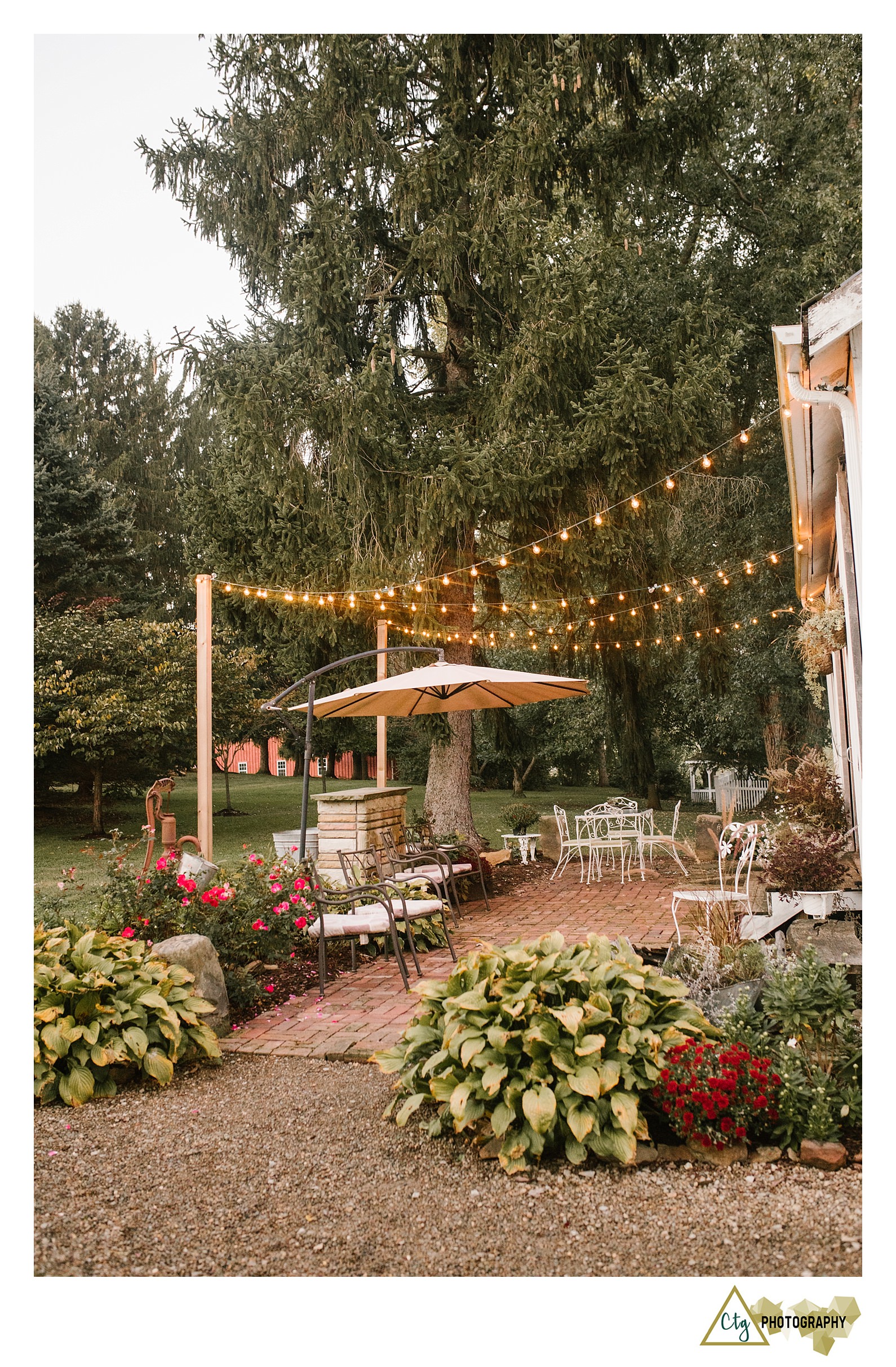 shady-elms-farm-wedding-photos