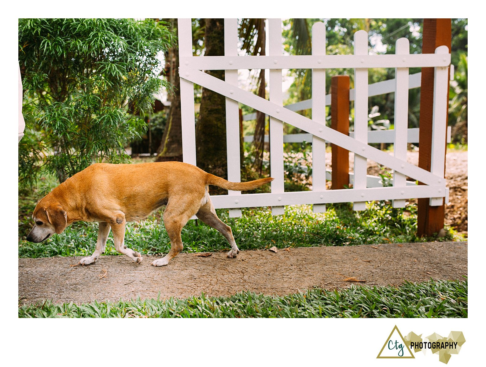 The Woods Workshop Costa Rica_0034