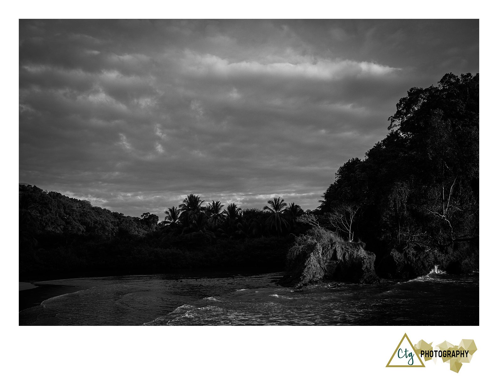 The Woods Workshop Costa Rica_0053