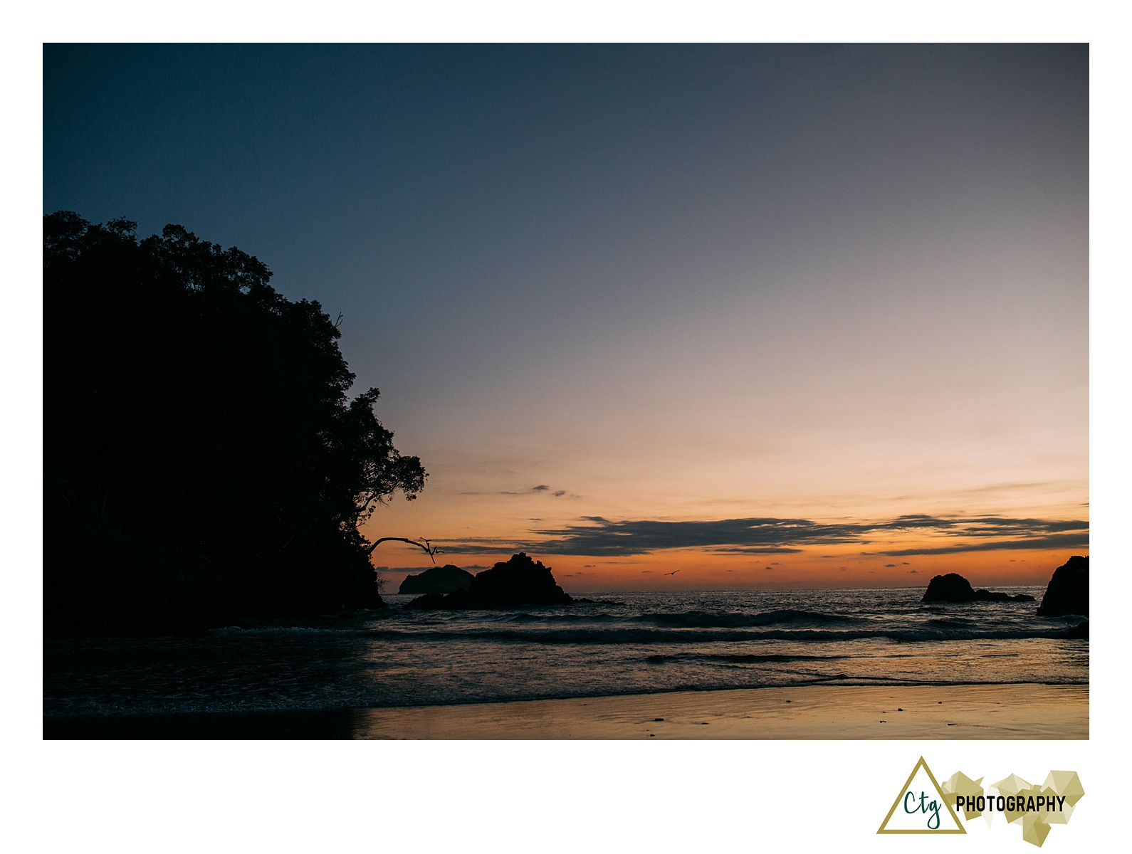 The Woods Workshop Costa Rica_0069