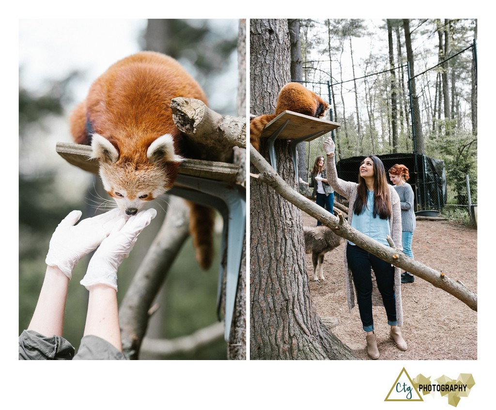 Oglebay Park Good Zoo Bachelorette Party_0007