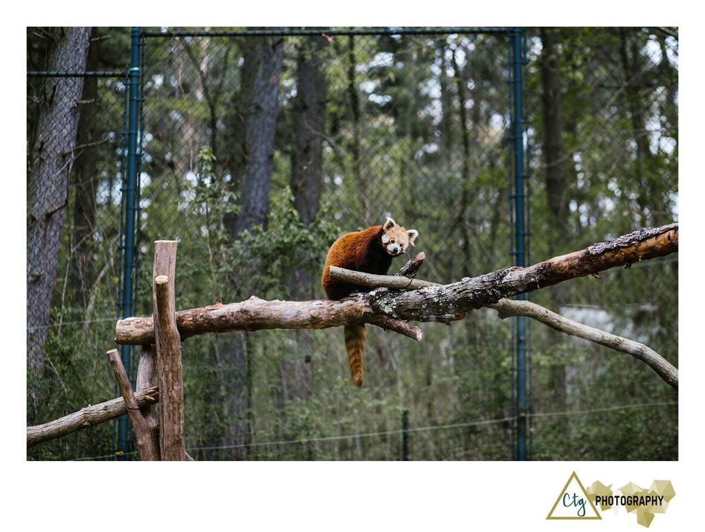 Oglebay Park Good Zoo Bachelorette Party_0008