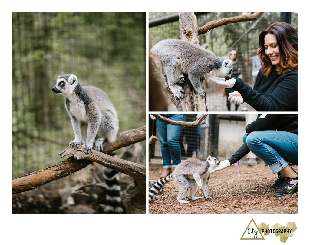 Oglebay Park Good Zoo Bachelorette Party_0020