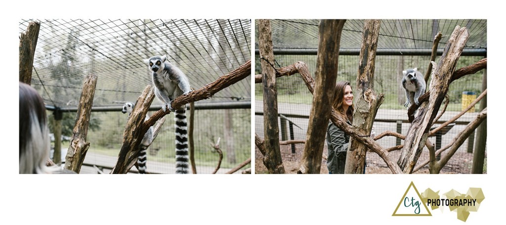 Oglebay Park Good Zoo Bachelorette Party_0022