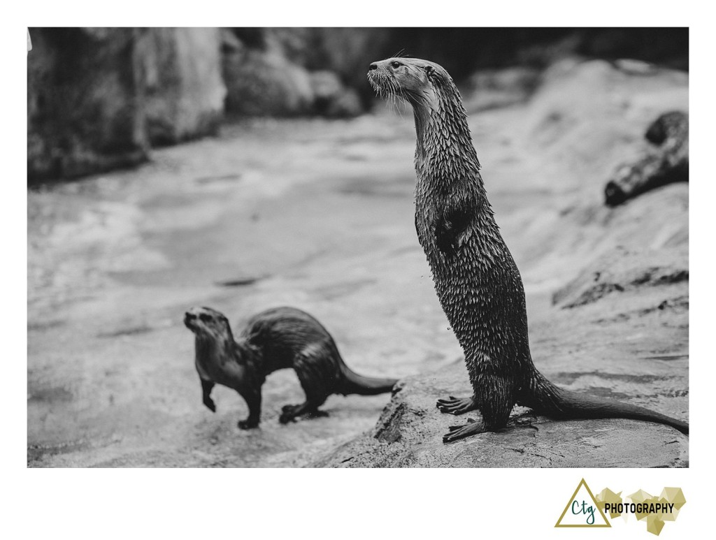 Oglebay Park Good Zoo Bachelorette Party_0026