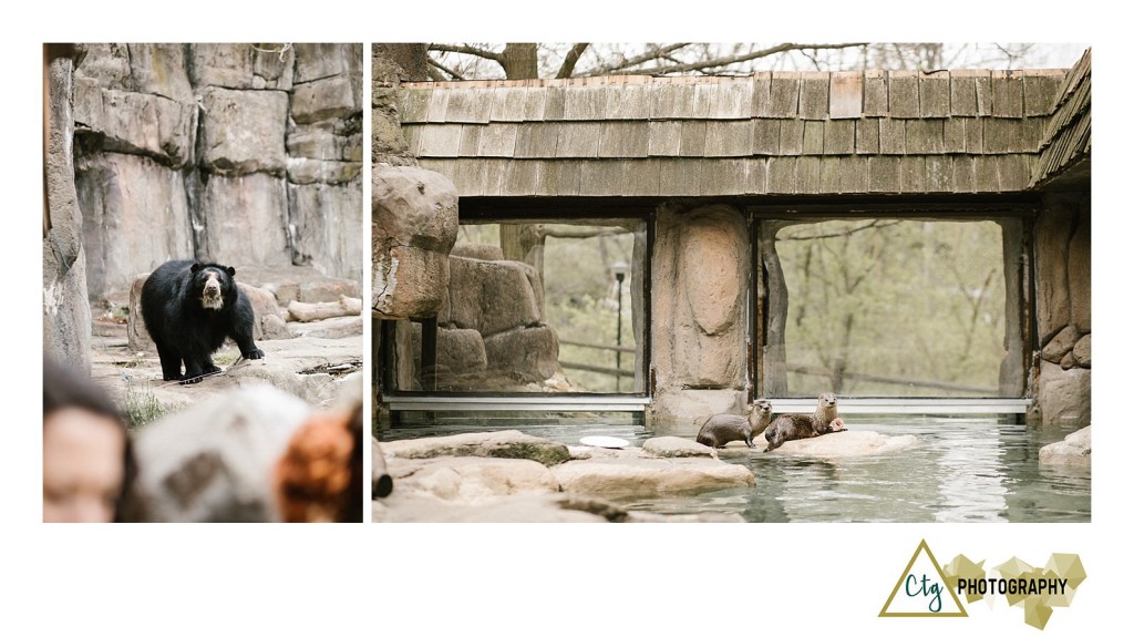 Oglebay Park Good Zoo Bachelorette Party_0028