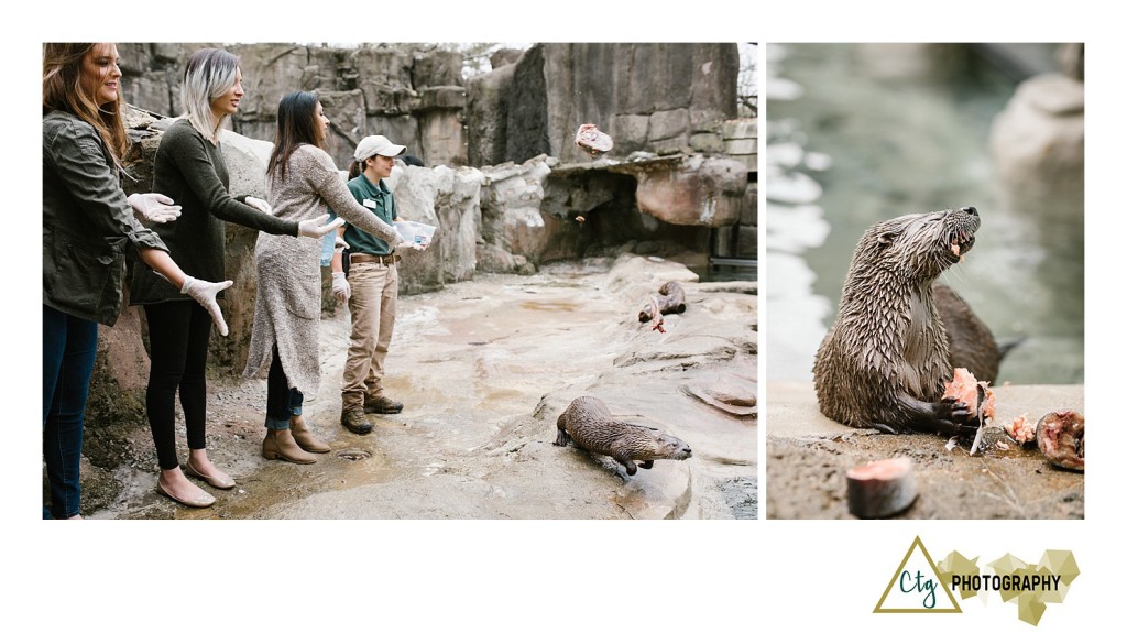 Oglebay Park Good Zoo Bachelorette Party_0029