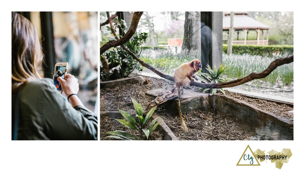 Oglebay Park Good Zoo Bachelorette Party_0032