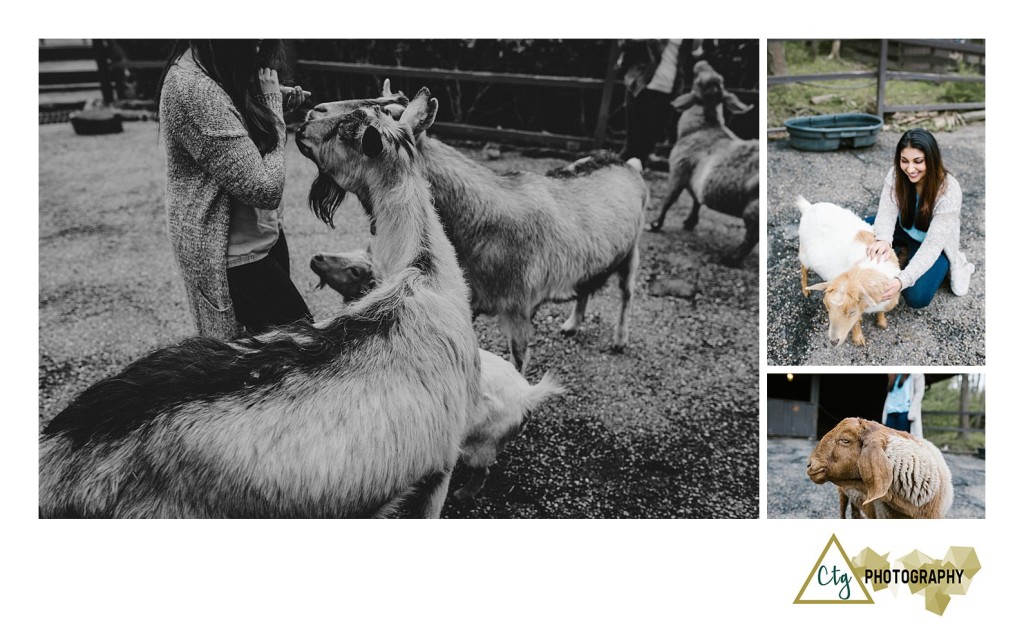 Oglebay Park Good Zoo Bachelorette Party_0034