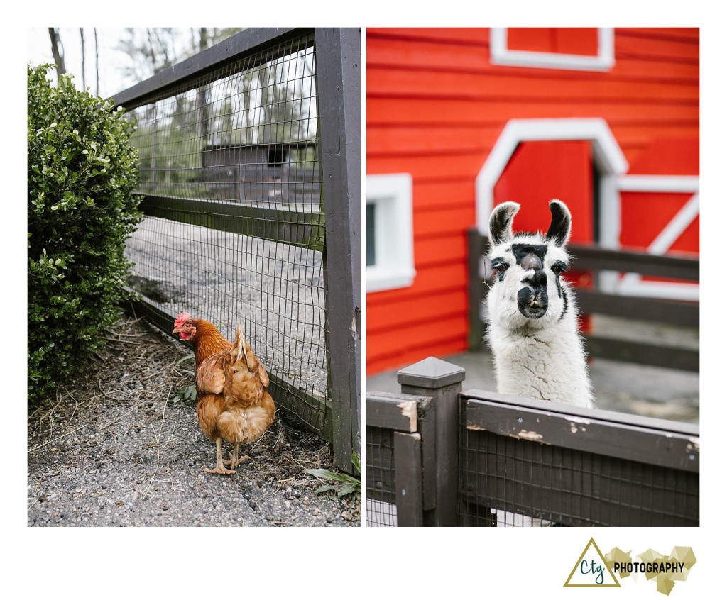 Oglebay Park Good Zoo Bachelorette Party_0035