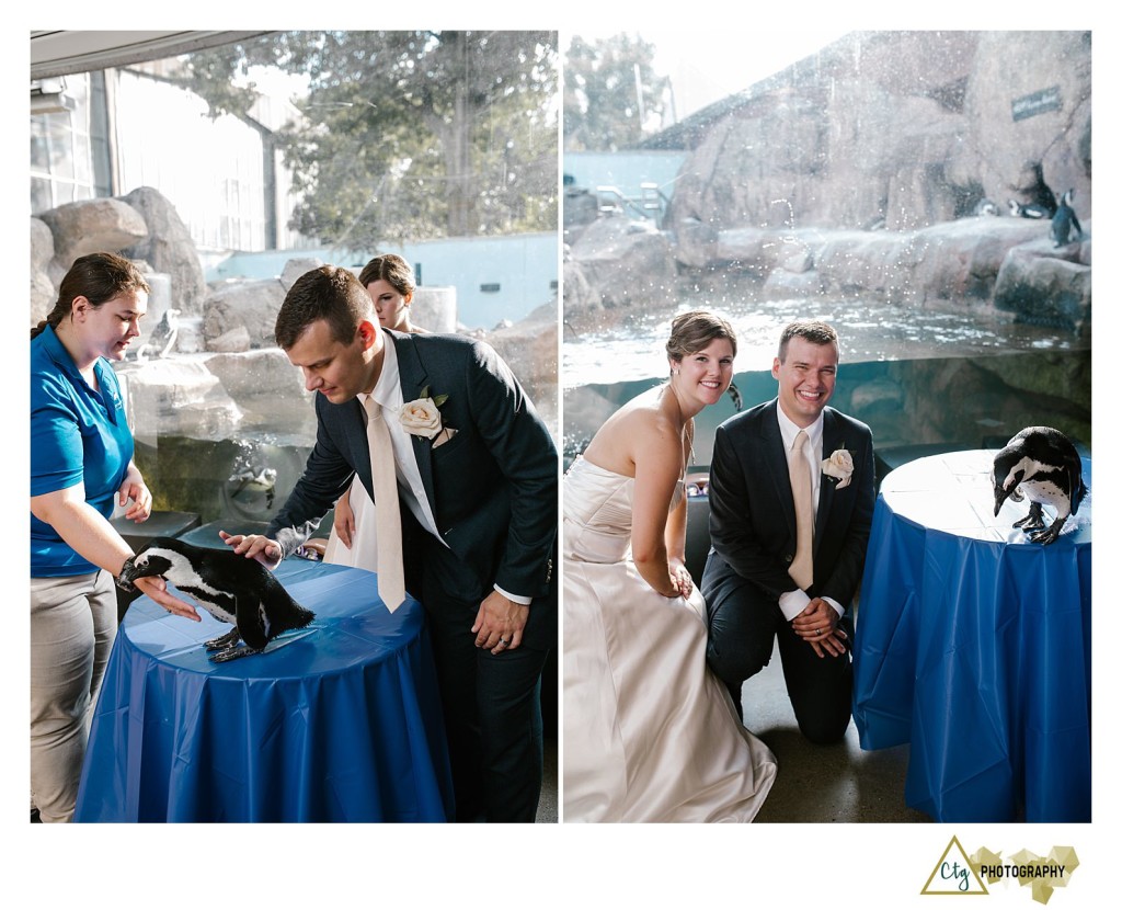 Pittsburgh Aviary wedding reception photos