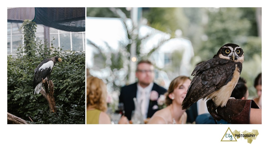 Pittsburgh Aviary wedding reception photos