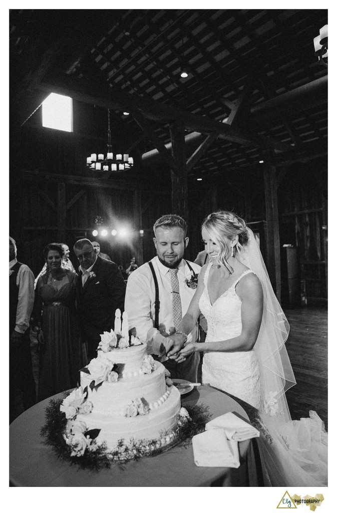 cake cutting at pittsburgh botanic cardens