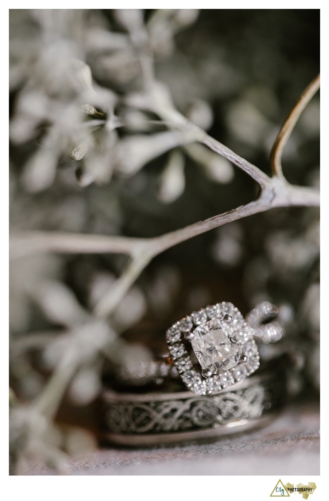 St. Anne Parish Wedding163