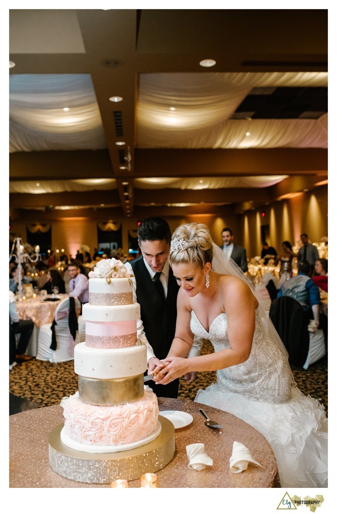 cake cutting