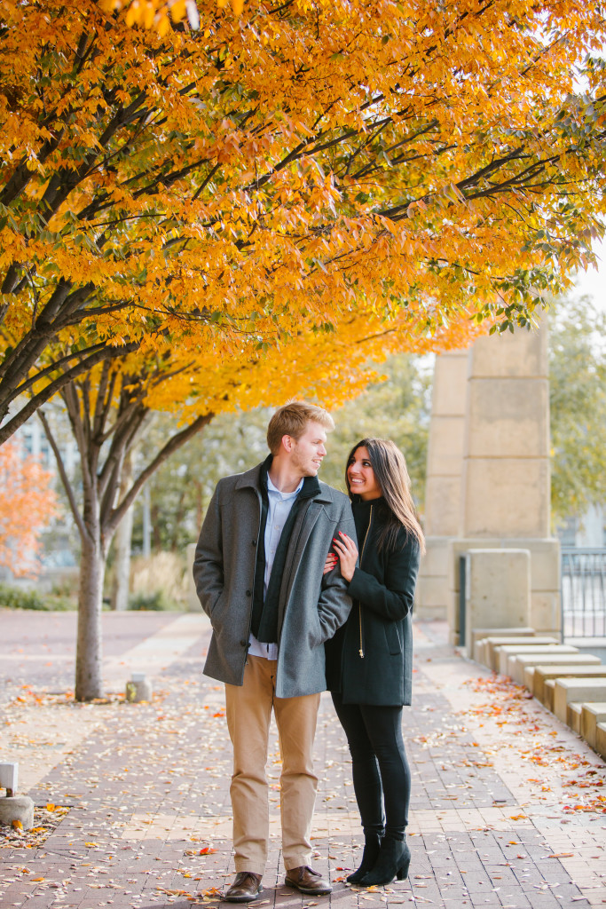 north shore pgh proposal