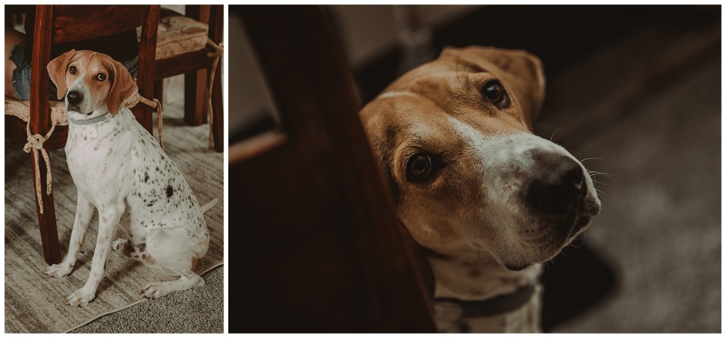 Quincy Cellars wedding photos_0007