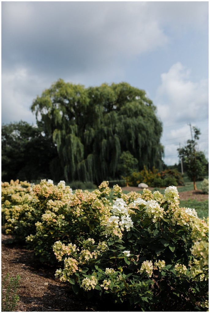 Quincy Cellars wedding photos_0026