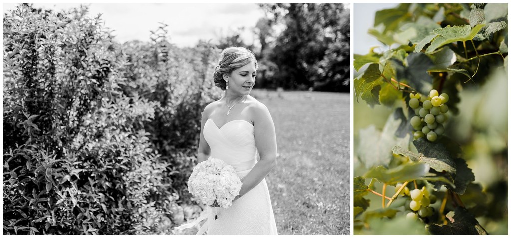 Quincy Cellars wedding photos_0041