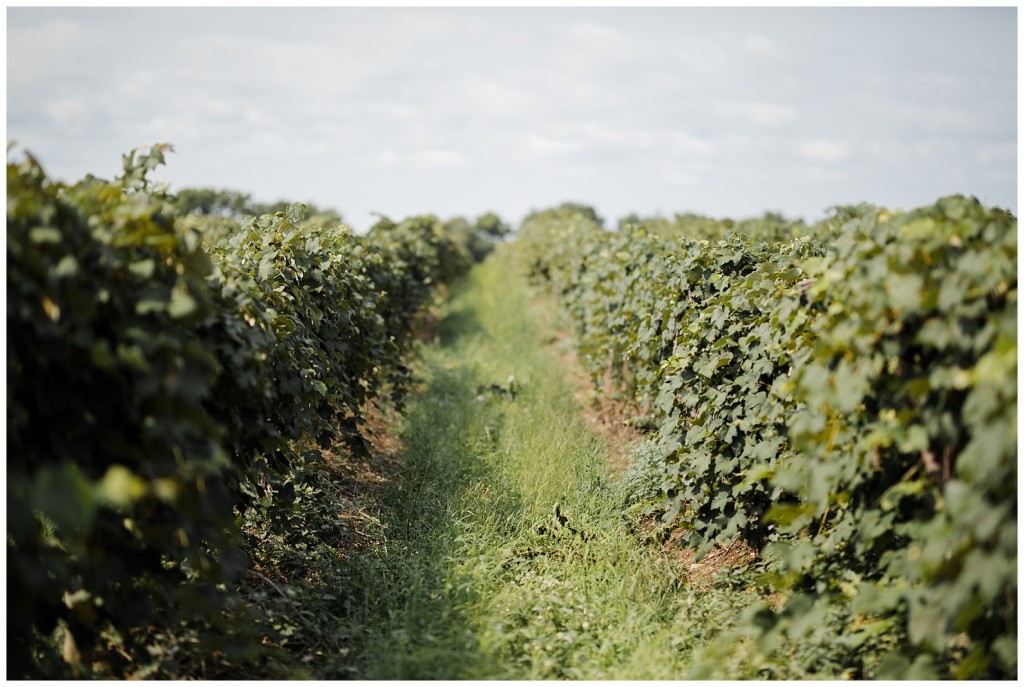 Quincy Cellars wedding photos_0050