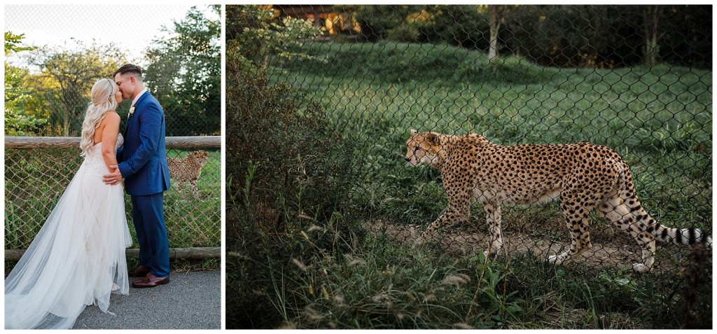 pittsburgh zoo wedding photos