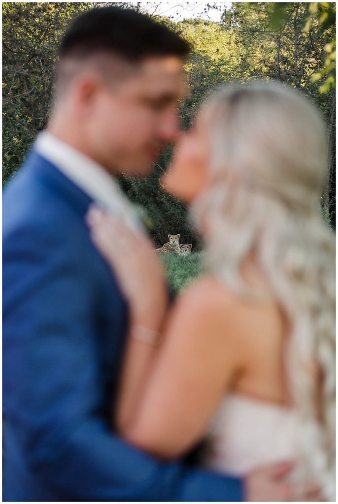 pittsburgh zoo wedding photos