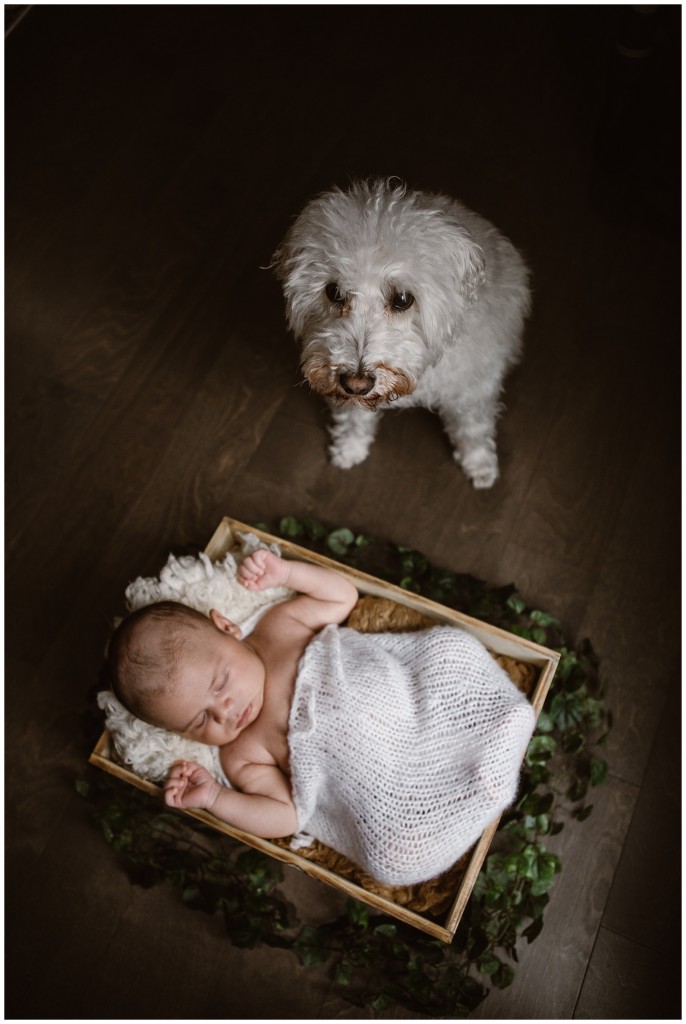 Pittsburgh Newborn studio_0007