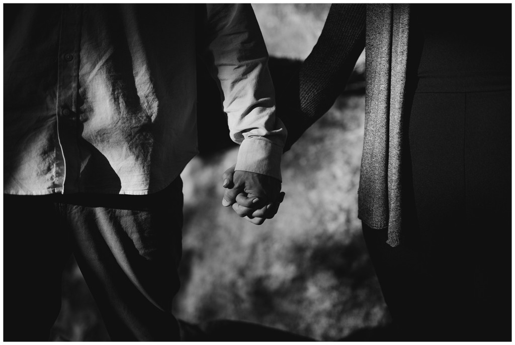 mcconnells mill engagement photos