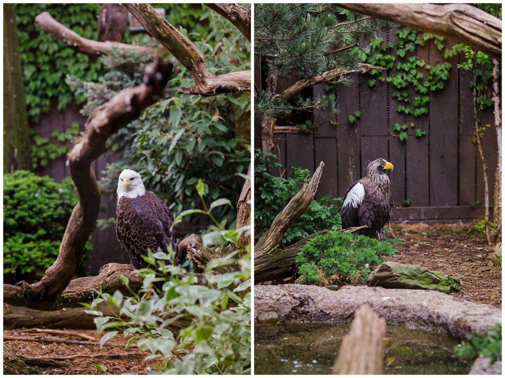 National Aviary Wedding_0042