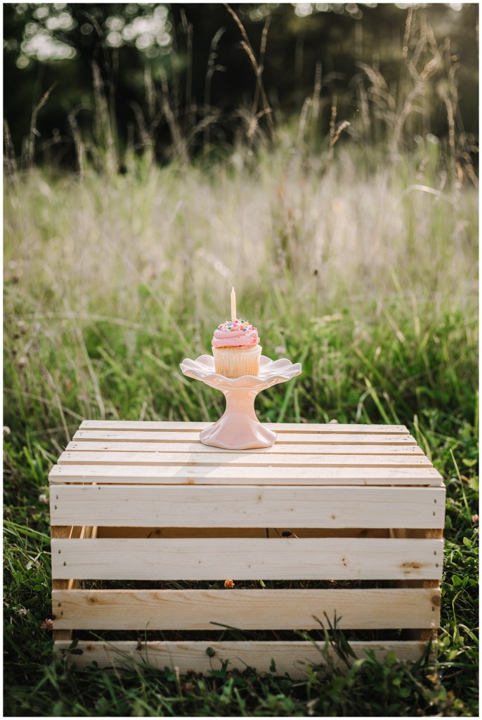 Field Photoshoot In Pittsburgh_0020