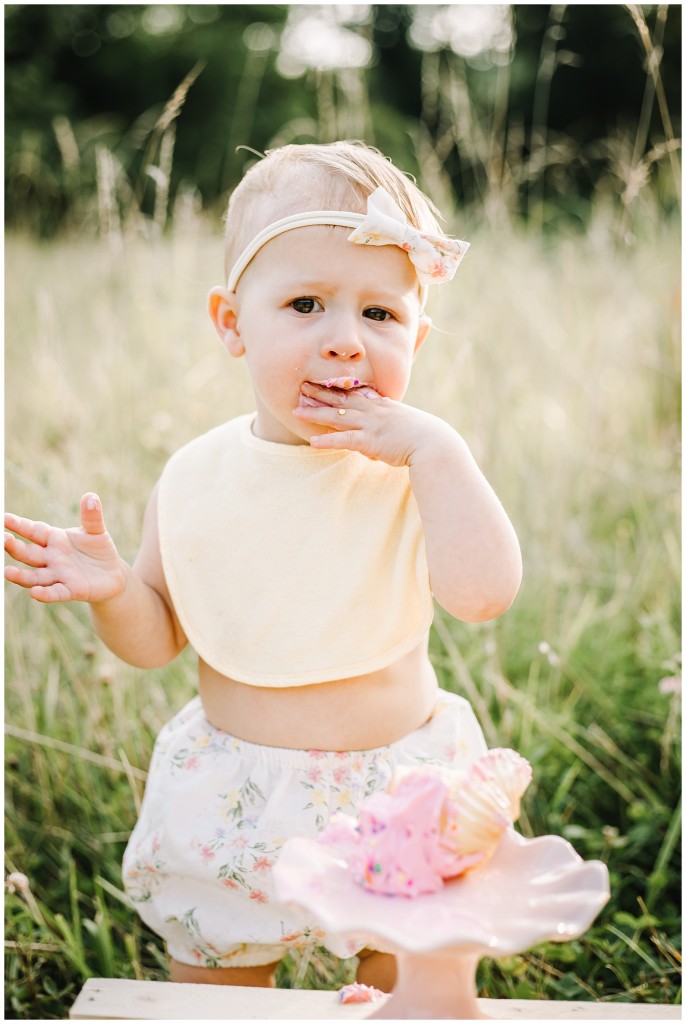 Field Photoshoot In Pittsburgh_0023