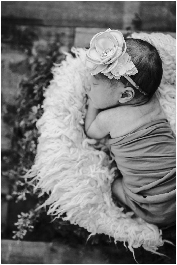 Pgh Newborn Photography Studio