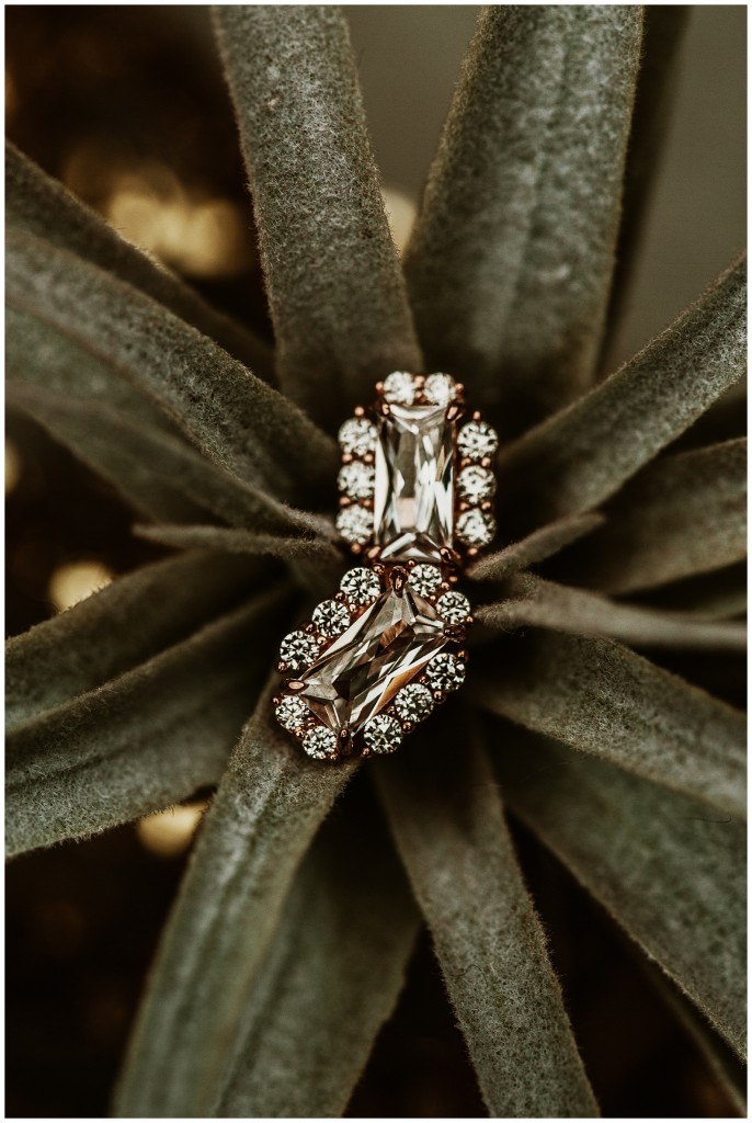 Millvale Riverfront Park Wedding- Phipps Conservatory Ceremony_0005