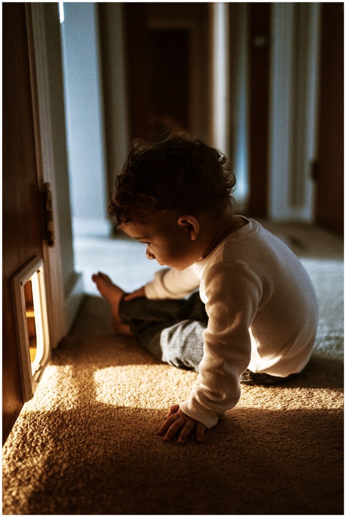 Pgh Newborn Photos_0010