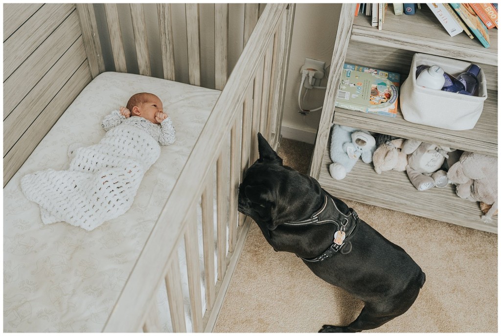 Pgh Newborn Photos_0011