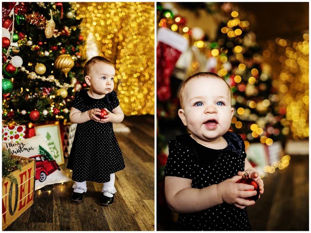 Pgh Christmas Mini Session Photographer_0001