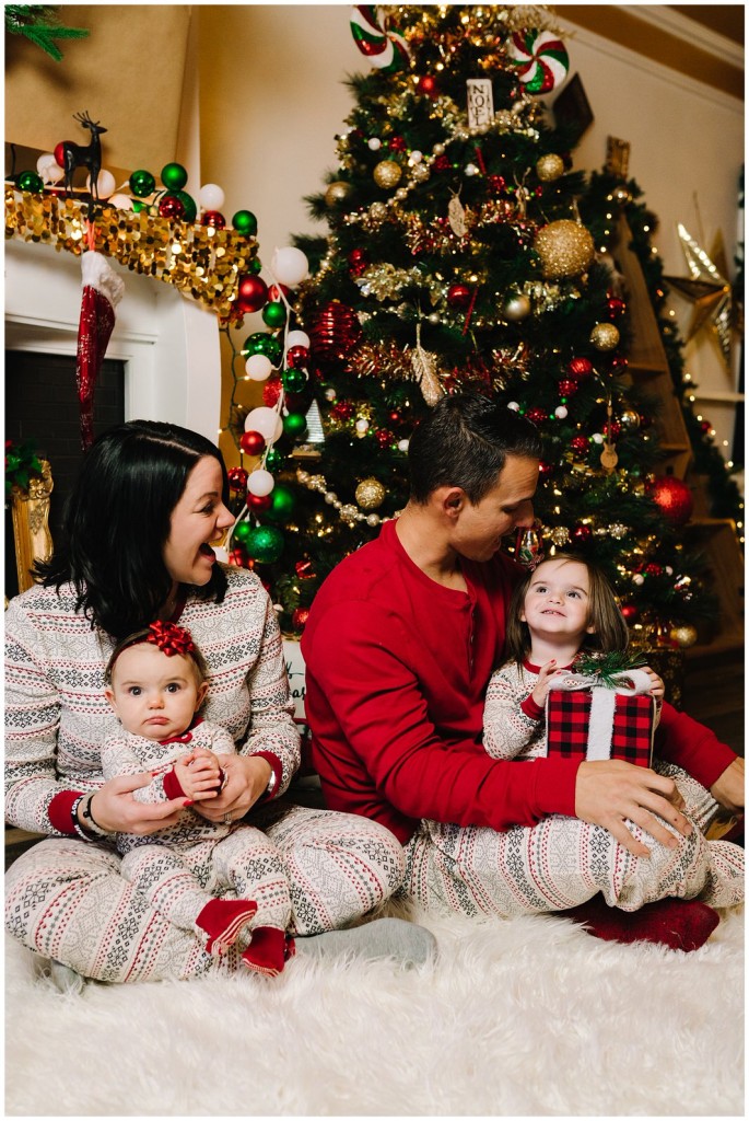 Pgh Christmas Mini Session Photographer_0009