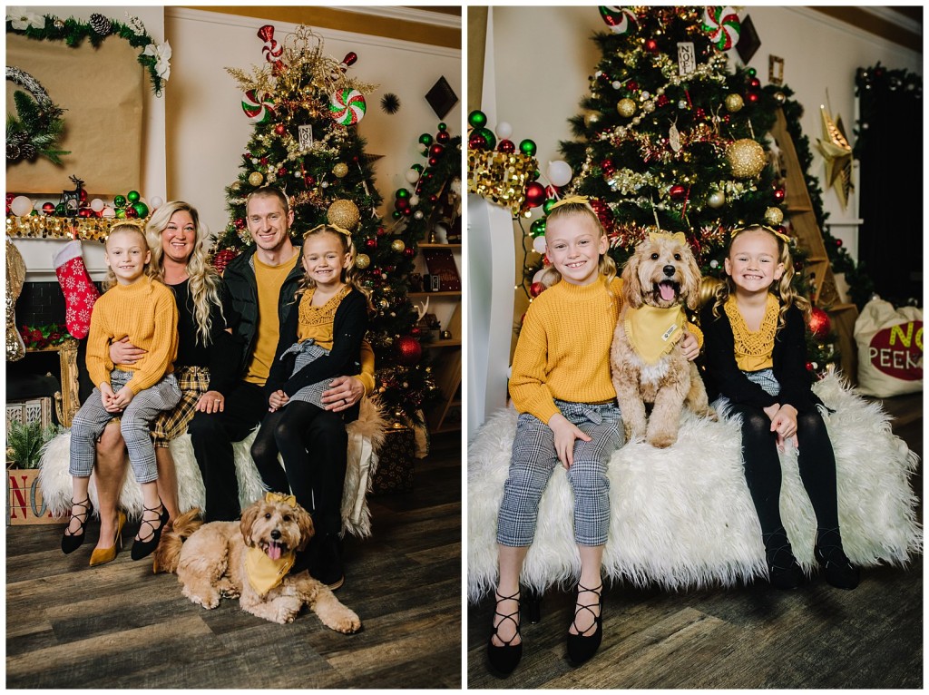 Pgh Christmas Mini Session Photographer_0012