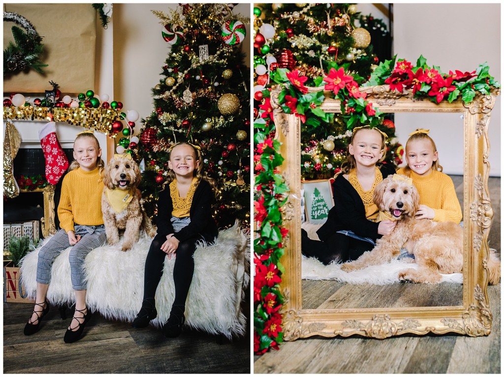 Pgh Christmas Mini Session Photographer_0013