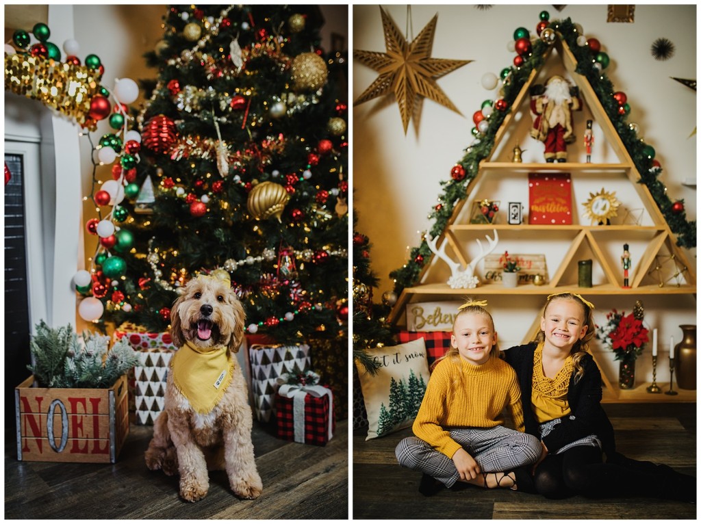 Pgh Christmas Mini Session Photographer_0014