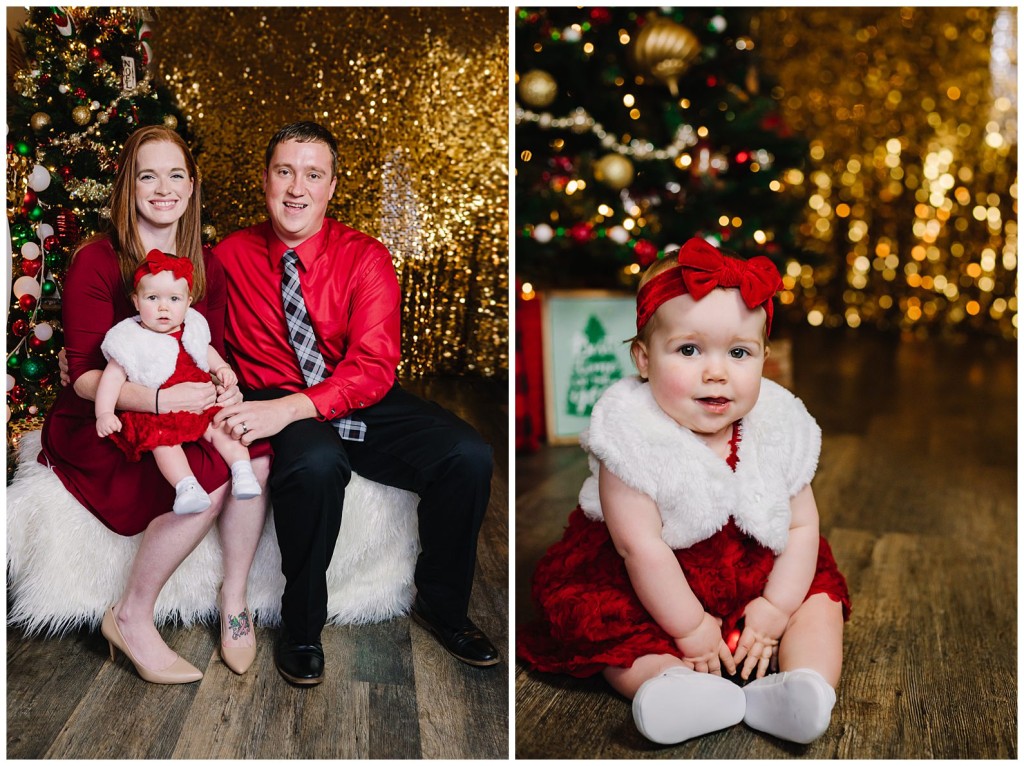 Pgh Christmas Mini Session Photographer_0016