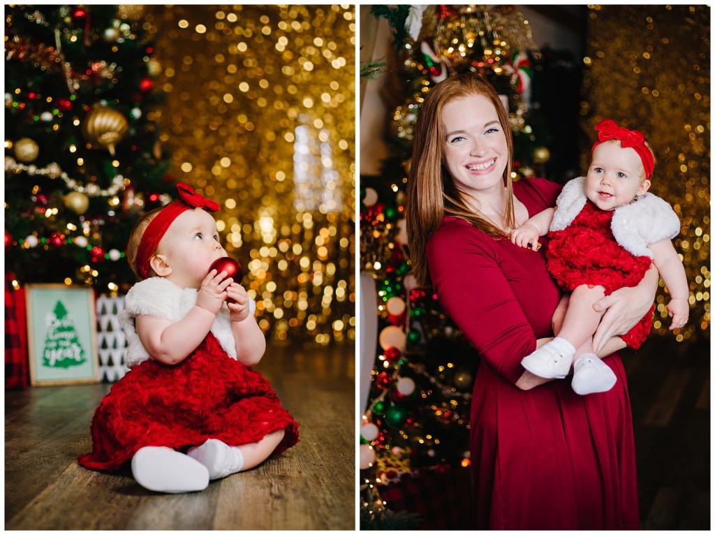 Pgh Christmas Mini Session Photographer_0017