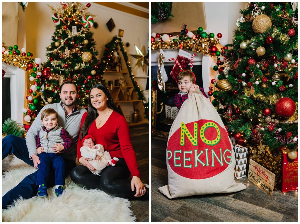 Pgh Christmas Mini Session Photographer_0019